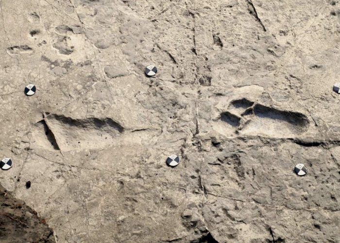 Laetoli Footprints