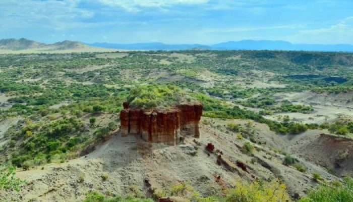 olduvai tabaka